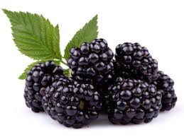 Blackberry - Balsamic Vinegar