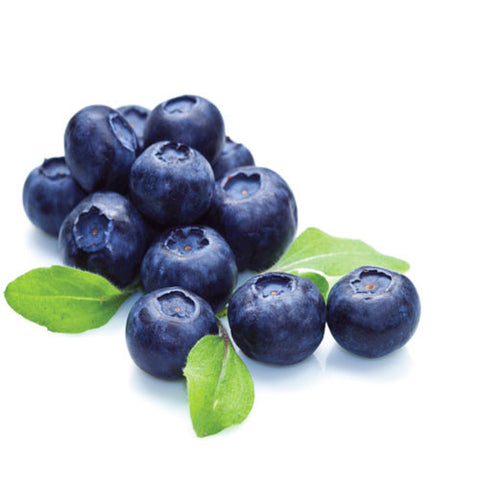 Blueberry - Balsamic Vinegar