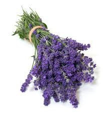 Lavender - Balsamic Vinegar